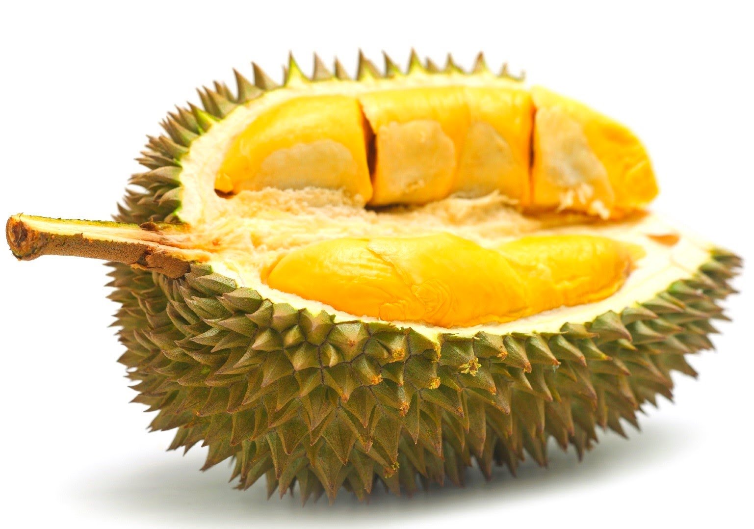 DURIAN Image