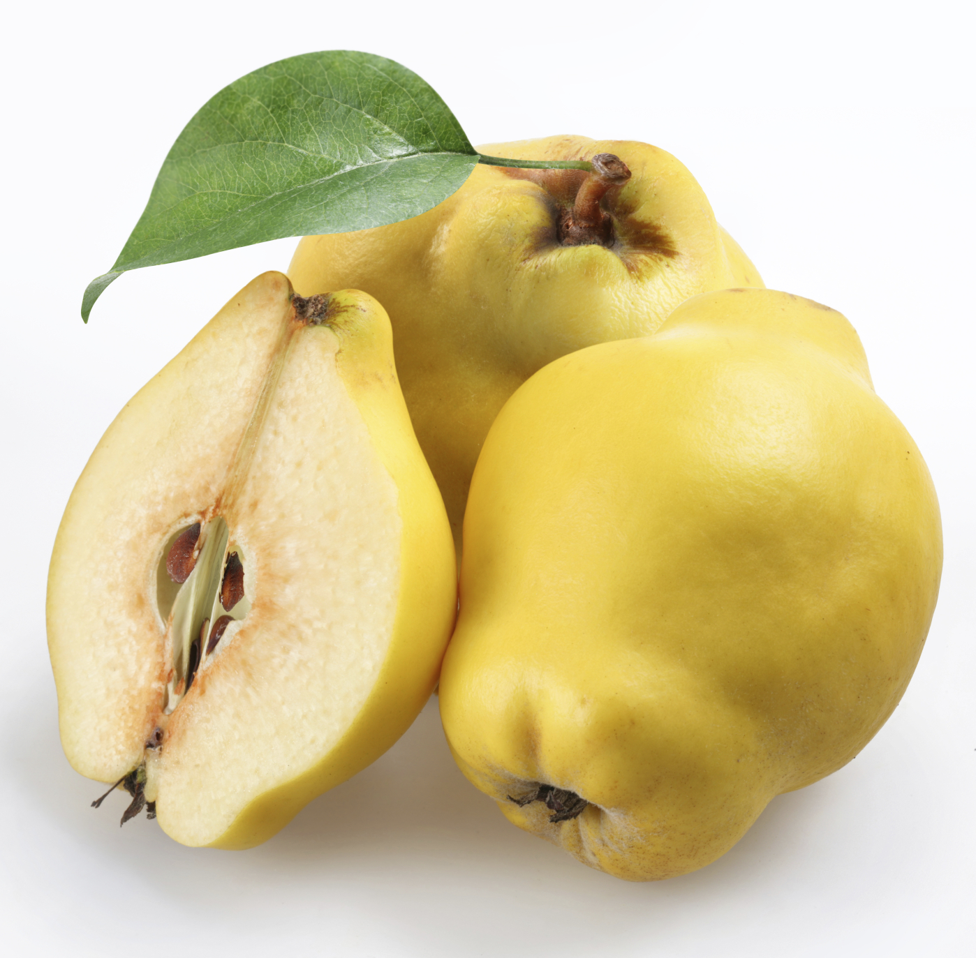QUINCE Image